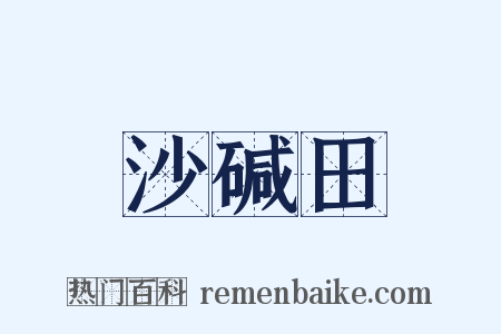 沙碱田是什么意思的图片